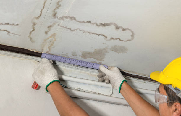 Reliable Water Damage contractor in Bellevue, WA by Water Damage Irwin